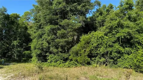 8045 NE 307th Avenue Fort Mc Coy FL 32134