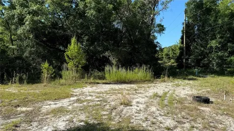 8045 NE 307th Avenue Fort Mc Coy FL 32134