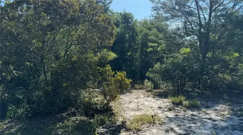 8045 NE 307th Avenue Fort Mc Coy FL 32134