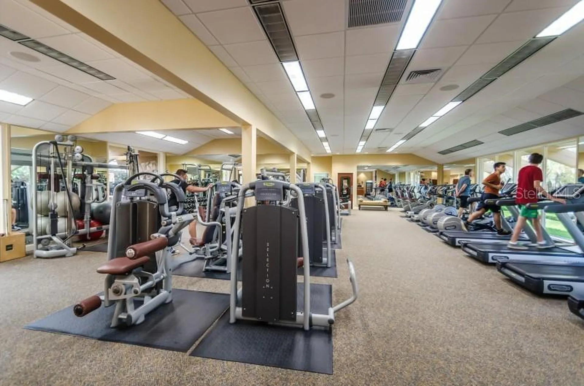 36750 Us Highway 19 N Palm Harbor FL 34684