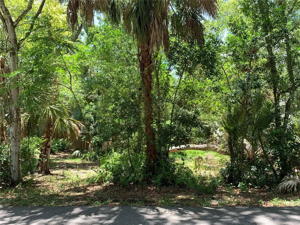 Center Avenue Tarpon Springs FL 34689