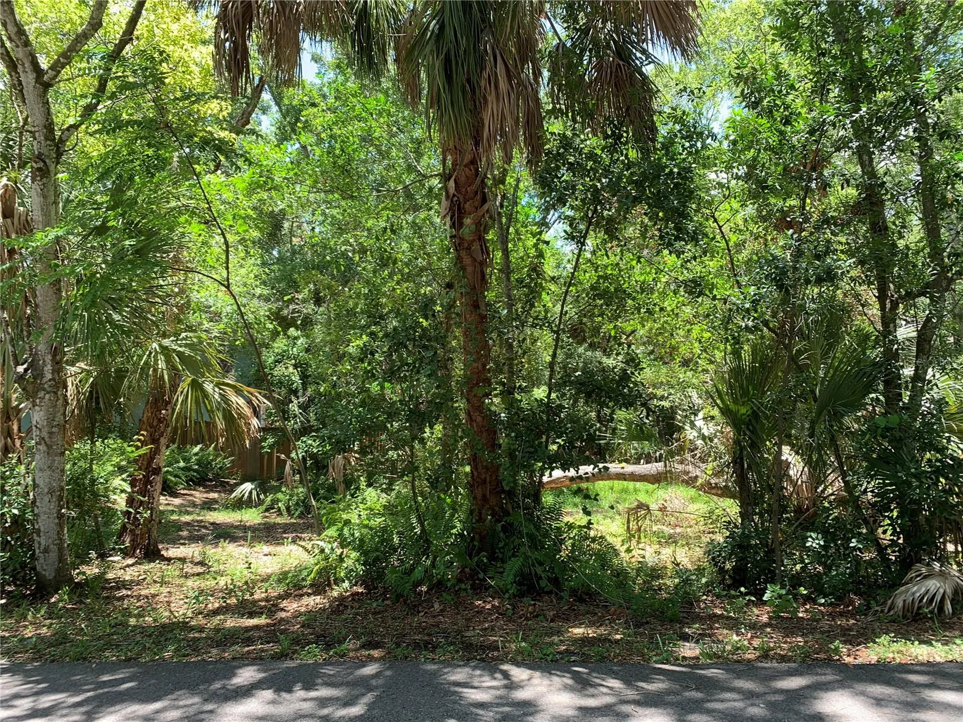 Center Avenue Tarpon Springs FL 34689