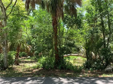 Center Avenue Tarpon Springs FL 34689