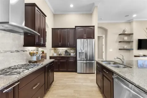 1465 Via Verdi Drive Palm Harbor FL 34683