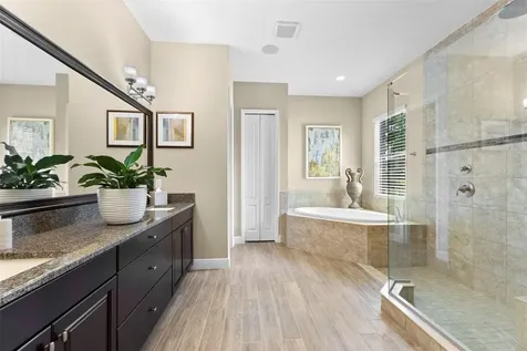 1465 Via Verdi Drive Palm Harbor FL 34683