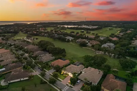 1465 Via Verdi Drive Palm Harbor FL 34683