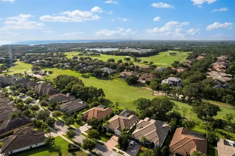 1465 Via Verdi Drive Palm Harbor FL 34683