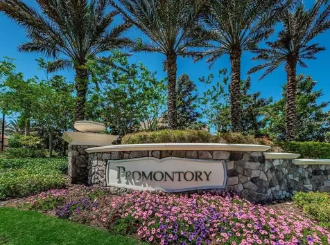 1465 Via Verdi Drive Palm Harbor FL 34683