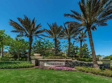 1465 Via Verdi Drive Palm Harbor FL 34683