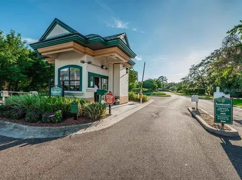 1465 Via Verdi Drive Palm Harbor FL 34683