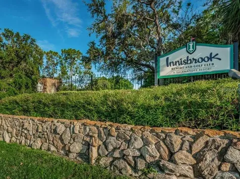 1465 Via Verdi Drive Palm Harbor FL 34683