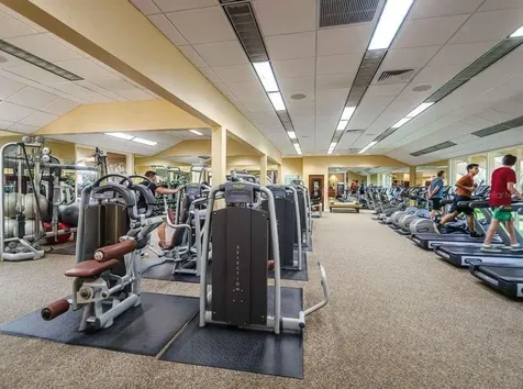 1465 Via Verdi Drive Palm Harbor FL 34683