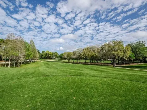 1465 Via Verdi Drive Palm Harbor FL 34683