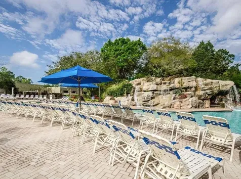 1465 Via Verdi Drive Palm Harbor FL 34683