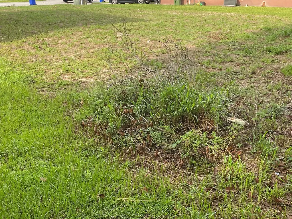 1304 Salisbury Drive Winter Haven FL 33881