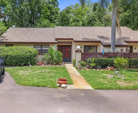 4033 Arrowwood Court Palm Harbor FL 34684
