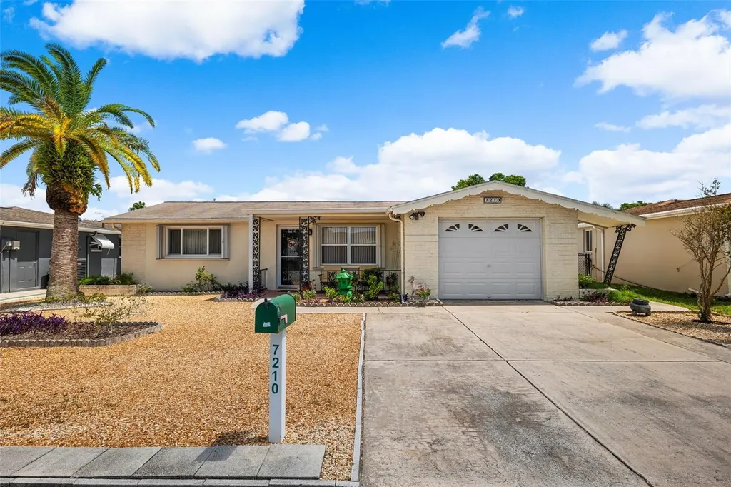 7210 Castanea Drive Port Richey FL 34668