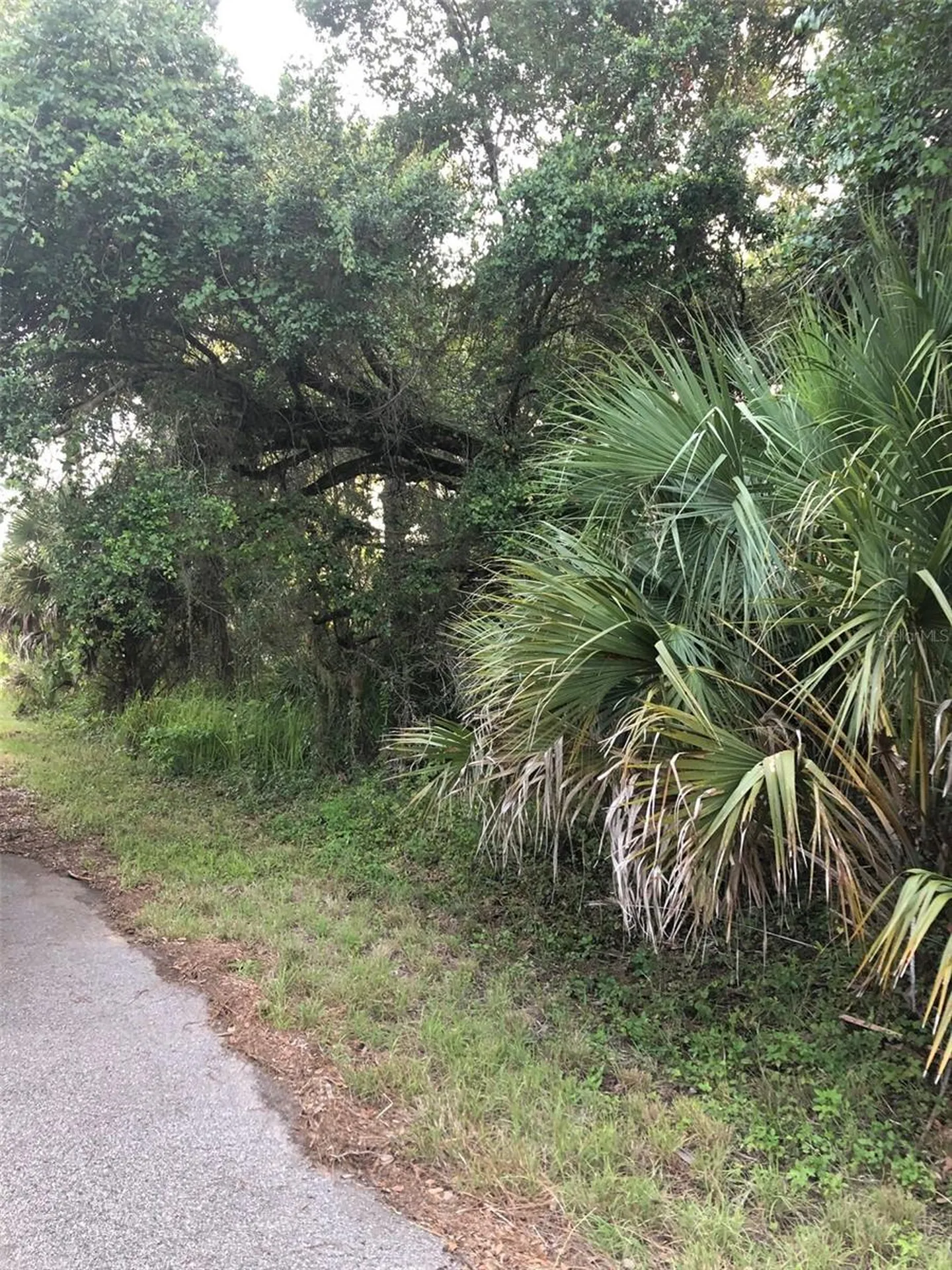 Carmelia Street North Port FL 34288