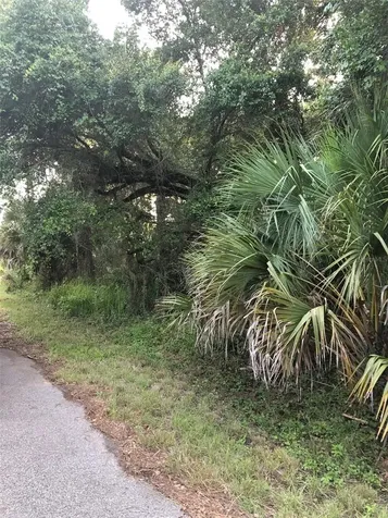 Carmelia Street North Port FL 34288