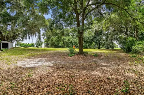 1910 W Knights Griffin Road Plant City FL 33565