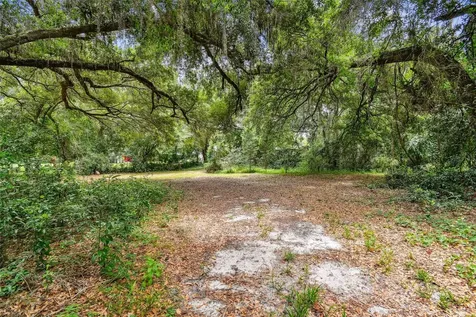 1910 W Knights Griffin Road Plant City FL 33565