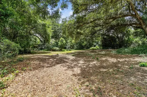 1910 W Knights Griffin Road Plant City FL 33565