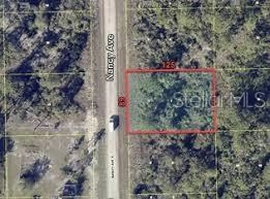 241 Nancy Avenue S Lehigh Acres FL 33974