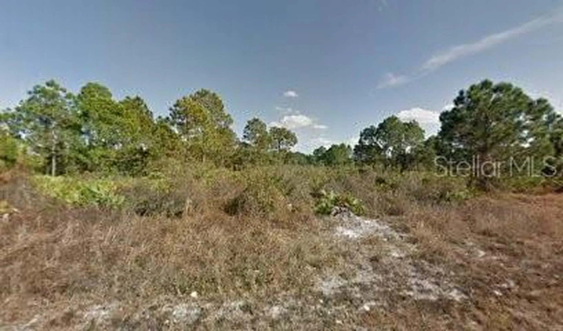 241 Nancy Avenue S Lehigh Acres FL 33974
