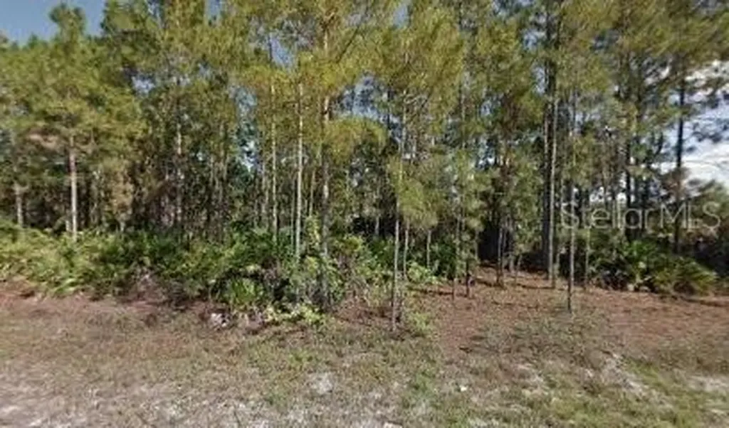 461 Lackey Avenue S Lehigh Acres FL 33974