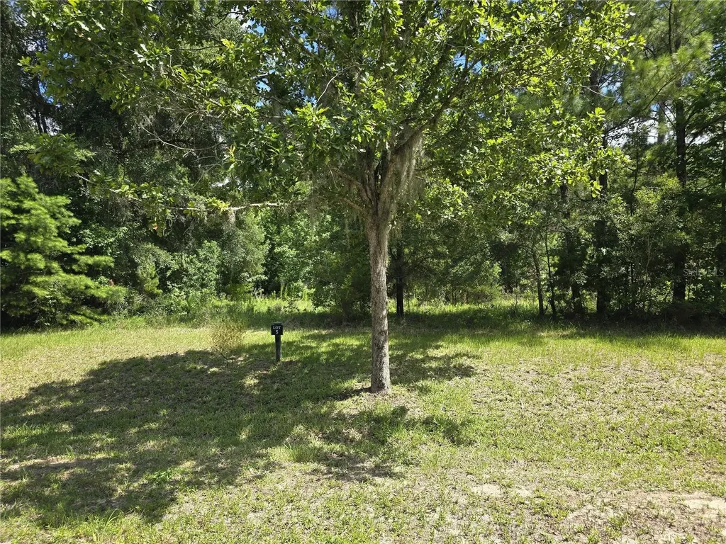 8911 NW 58th Lane Gainesville FL 32653