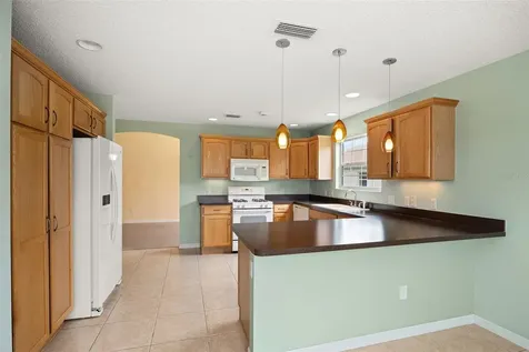 533 Downers Grove The Villages FL 32162