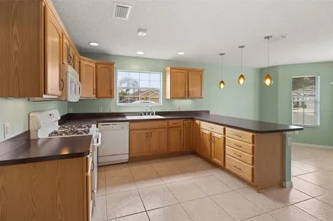 533 Downers Grove The Villages FL 32162