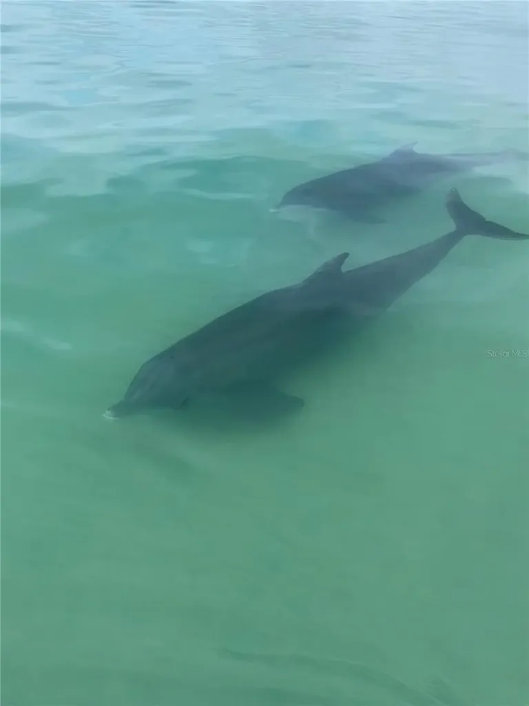 3820 Gulf Boulevard St Pete Beach FL 33706
