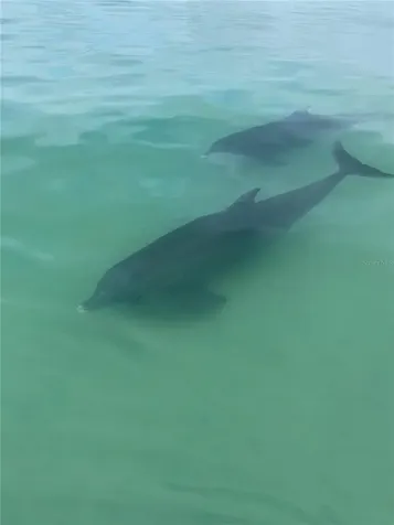 3820 Gulf Boulevard St Pete Beach FL 33706