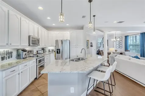14432 Mirabelle Vista Circle Tampa FL 33626