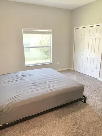 3207 Dunstable Drive Land O Lakes FL 34638