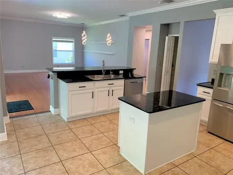 3207 Dunstable Drive Land O Lakes FL 34638
