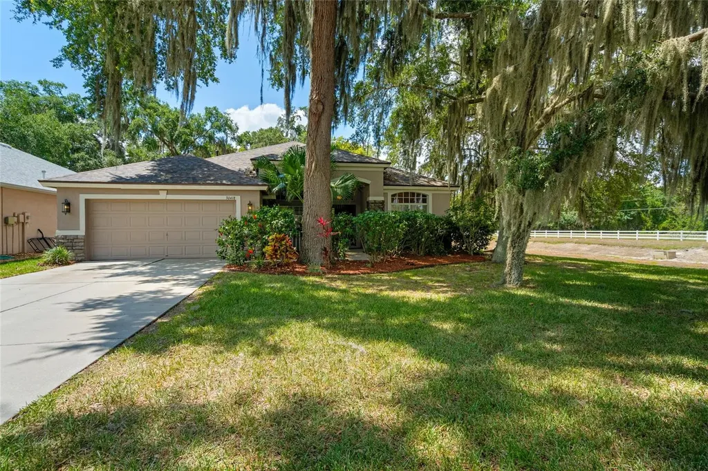 30418 Iverson Drive Wesley Chapel FL 33543