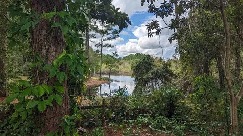 268 Almyra Drive Lake Mary FL 32746
