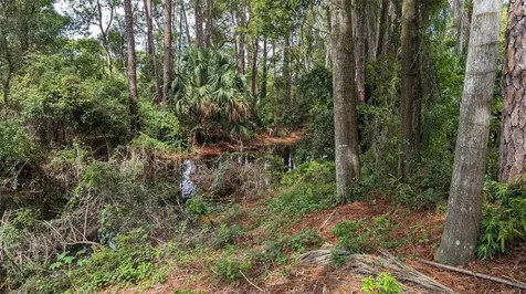 268 Almyra Drive Lake Mary FL 32746