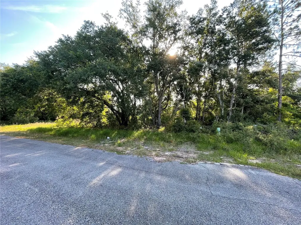 1613 Tench Court Poinciana FL 34759