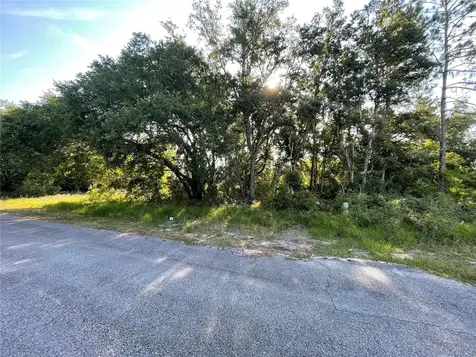 1613 Tench Court Poinciana FL 34759