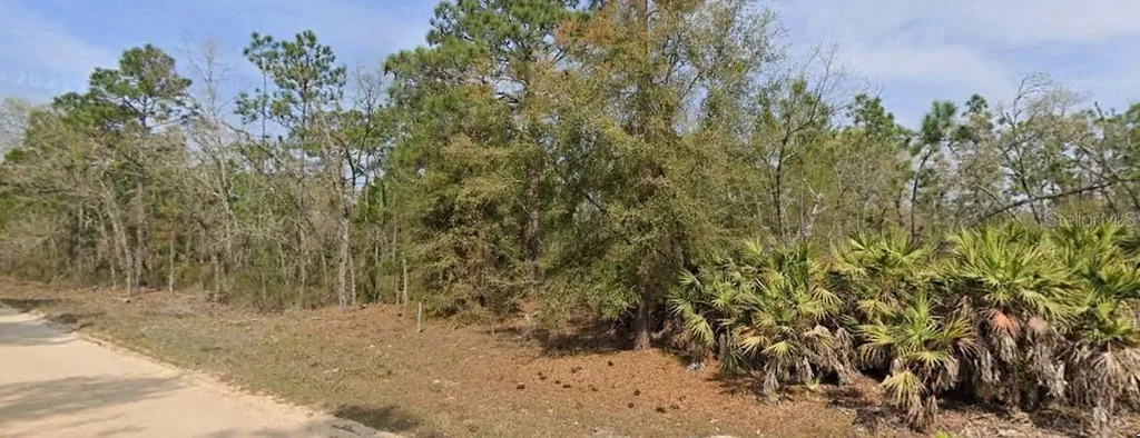 Union Avenue Interlachen FL 32148
