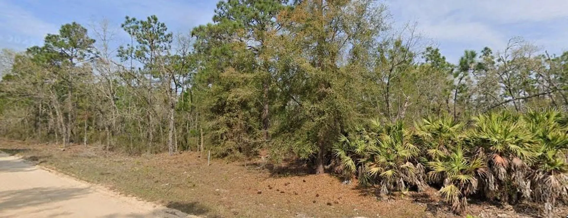 Union Avenue Interlachen FL 32148