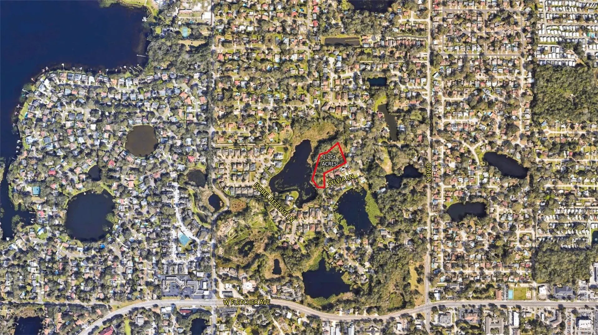 1022 Sylvia Lane Tampa FL 33613