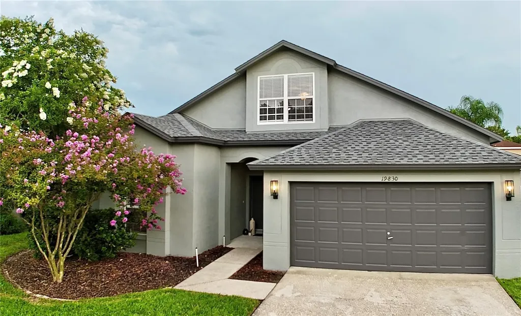19830 Ellendale Drive Land O Lakes FL 34638