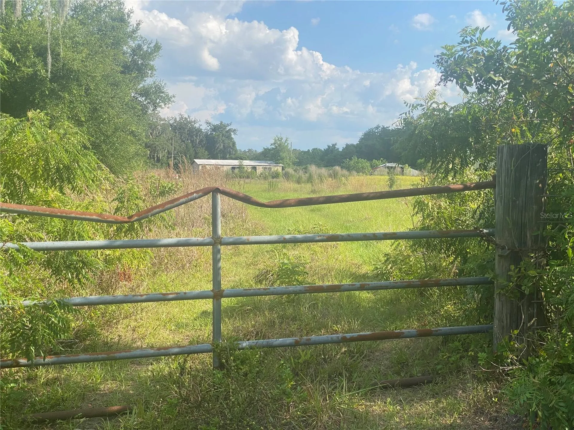 4210 Cardinal Lane Kissimmee FL 34744