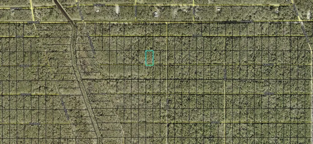 Xx Fagan Street Hastings FL 32145