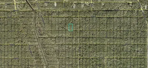 Xx Fagan Street Hastings FL 32145