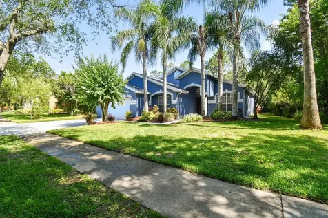 14801 Heronglen Drive Lithia FL 33547